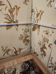 Спрей для чищення ванн San Clean для видалення цвілі та бруду 750 г (4820003542514) фото від покупців 4