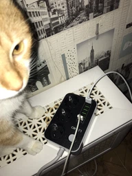 Мережевий фільтр-подовжувач з підсвічуванням LDNIO SE3631 (6USB, 3 Розетки 220V, 3.4A, 1.6m, швидка зарядка) - Чорний та білий фото від покупців 4