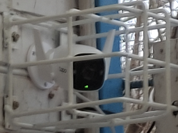 IP-камера відеоспостереження TP-Link Tapo C310