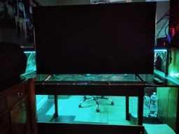 Светодиодная Новогодняя лента Kronos LED 7 Color 5050 RGB 5м + блок для Нового года и Рождества фото від покупців 2