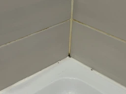 Средство Glutoclean от плесени с хлором 0.5 л (4044899387916) фото от покупателей 16