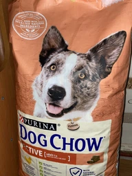 Сухий корм з куркою Purina Dog Chow Пуріна Дог Чао для активних собак 2,5 кг (7613034487858) фото від покупців 1