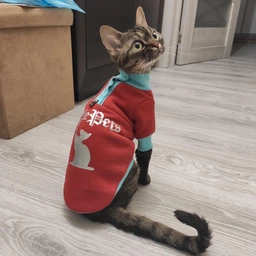 Кофта для кота или кошки Style Pets sp-red0819/l S фото от покупателей 2
