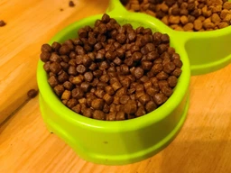 Сухой корм для котят Brit Care Cat GF Kitten Growth & Developmen с курицей и индейкой 2 кг фото от покупателей 9