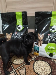 Purina PRO PLAN Small & Mini Puppy Healthy Start сухой корм для щенков мелких пород, с курицей 7 кг фото от покупателей 8
