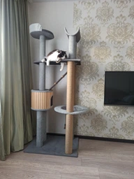 Высокий кошачий комплекс когтеточка с домом, гамаком для котов мелких и средних пород 190х80х60см бежево коричневый