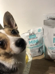 Сухой корм Brit Care Mini Grain Free Light & Sterilised беззерновой для стерилизованных и от избыточного веса собак 2 кг фото от покупателей 2