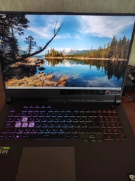 Ноутбук ASUS ROG Strix G17 G713IC-HX010 (90NR05M2-M002K0) Eclipse Gray фото от покупателей 16