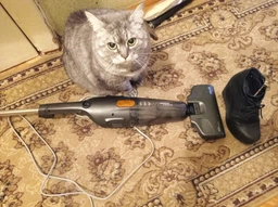 Пилосос без мішка Deerma Stick Vacuum Cleaner Mini (DX115C) фото від покупців 2