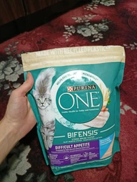 Сухий корм PURINA ONE Difficult Appetite для дорослих котів з вибірковим смаком у їжі з тріскою та фореллю 800 г фото від покупців 5