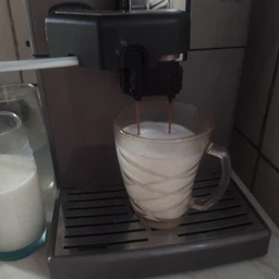 Кофемашина Saeco Lirika One Touch Cappuccino RI9851/01 [55892] фото от покупателей 14