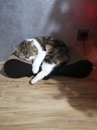 Кігтеточка дряпка з гофрокартону лежанка для котів з картонним фасадом Cat Joy Modern Whitish 54x13x25 см фото від покупців 2
