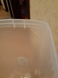 Контейнер для зберігання корму для тварин Stefanplast Petfood 15 L 80830 (8003507984011) фото від покупців 5