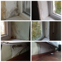 Средство Glutoclean от плесени с хлором 0.5 л (4044899387916) фото от покупателей 14