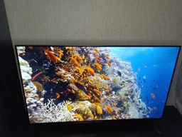 Телевизор Gazer MetaSmart TV43-US3B фото от покупателей 3