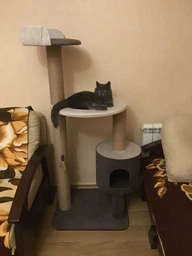 Устойчивая когтеточка для котиков, кошки с домиком гамаком 140*60*50см фото от покупателей 14