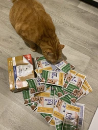 Упаковка влажного корма для взрослых стерилизованих кошек Purina Cat Chow Sterilised с курицей и баклажанами 85 г х 26 шт фото от покупателей 1