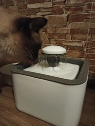 Фонтан напувалка автоматична для домашніх тварин Pet Water Fountain USB сіра