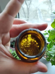 Мелатонін Solgar (Melatonin) 5 мг 60 таблеток SOL01936