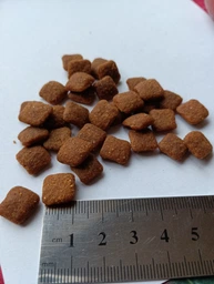 Сухий корм для стерилізованих кішок Club 4 Paws Sterilised з куркою 5 кг (4820083909283)
