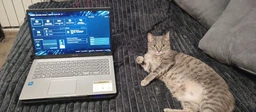 Ноутбук ASUS Laptop X515EA-BQ3231 (90NB0TY2-M035B0) Transparent Silver фото от покупателей 2