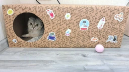 Когтеточка картонная Say Meow Grace, 67 см х 27 см х 24 см фото от покупателей 3