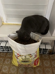 Сухой корм для взрослых кошек Purina Friskies с говядиной, курицей и овощами 10 кг фото от покупателей 5