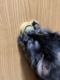 Кошачья мята игрушка для котов Вкусняшка CatNip фото от покупателей 4