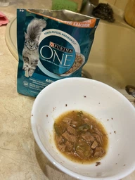 Консервований корм Purina One Adult З куркою та зеленою фасолею 24 шт х 85 г (7613038255743-24)