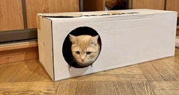 Когтеточка картонная Say Meow Grace, 67 см х 27 см х 24 см