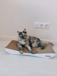 Когтеточка-лежанка Dream Say Meow - 57х24х7см