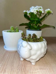 Керамічне кашпо для рослин Mini Plant Овечка тваринка м’ятна, розмір 7,5 х 8,5см