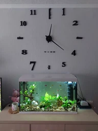 Настінний годинник Mindo MD17079, 3Д, великий