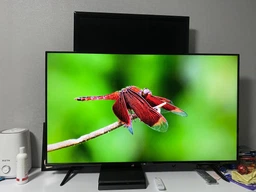 Телевізор Xiaomi Mi TV P1 43" фото від покупців 9