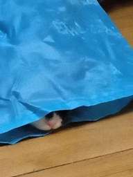 Trixie Тунель тканинний для котів,в асортименті фото от покупателей 8