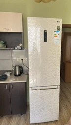 Холодильник LG GC-B509EELM (7250283)