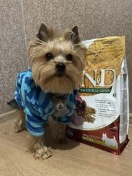 Низкозерновой сухой корм для собак мелких пород N&D LOW GRAIN DOG CHICKEN & POMEGRANATE ADULT MINI (курица/гранат), 7 кг фото от покупателей 2