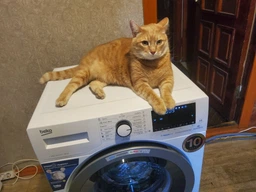 Стиральная машина Beko WTV 8636 XS (opt_64698-2)