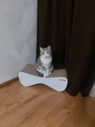 Кігтеточка (дряпка) - лежанка для кішок Say Meow Cloud 61х21х24 см (8040190102001) фото от покупателей 1
