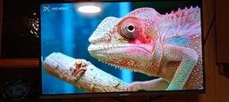 Телевізор Blaupunkt 32FBC5000 фото от покупателей 2