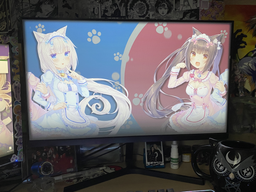 Монітор 23.8" Xiaomi Mi Desktop Monitor 1C (BHR4510GL) фото від покупців 7