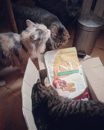 Сухой корм Farmina N&D LG Neutered Adult Cat Chicken для стерилизованных взрослых кошек низкозерновой 1,5 кг фото от покупателей 11