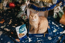 Сухий корм Farmina N&D Low Grain Ocean Ancestral Cod & Orange для котів з тріскою та апельсином 1кг (на вагу) фото від покупців 1