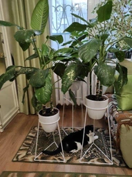 Комплект металлических подставок для цветов и вазонов Adore Décor "Скандинавские", черный фото от покупателей 4