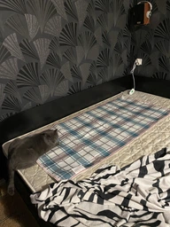 Электропростынь 75х160 см односпальная Home textile, Турция, ЗАЩИТА ОТ ПЕРЕНАПРЯЖЕНИЯ, в клетку, арт.7575