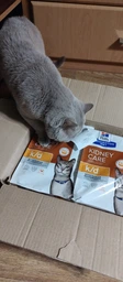 Сухий корм Hill's Prescription Diet k/d Kidney Care для кішок з куркою 1,5 кг фото від покупців 1