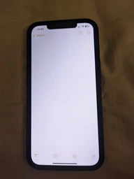 Захисне скло Promate WatchDog Apple iPhone 12 Pro Max (watchdog.12max)
