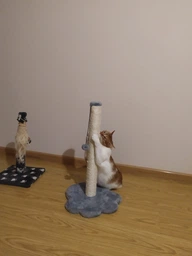 Когтеточка для кошек Lucky Pet "Лапка большая" сизаль серая, мех белый 38х38х66см фото от покупателей 7