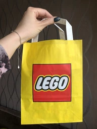 Бумажный пакет LEGO VP Маленький (6315786)