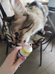 Фитопаста AnimAll VetLine для выведения шерсти для котов 100 г (4820150206642) фото от покупателей 15